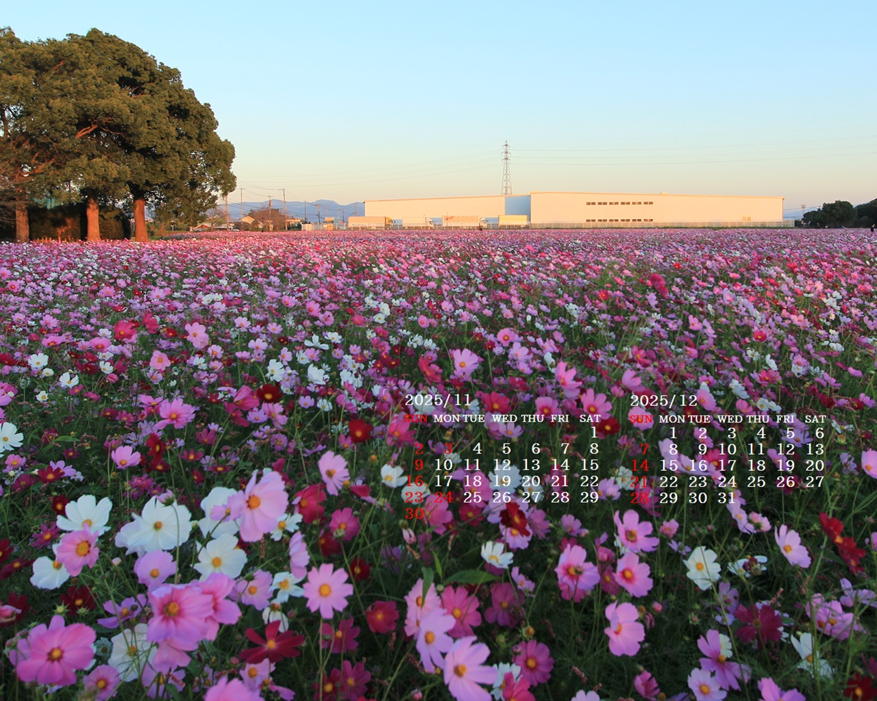 摜̏ŉENbNāuǎɐݒvAj[ɂȂꍇ͂摜ۑĉB