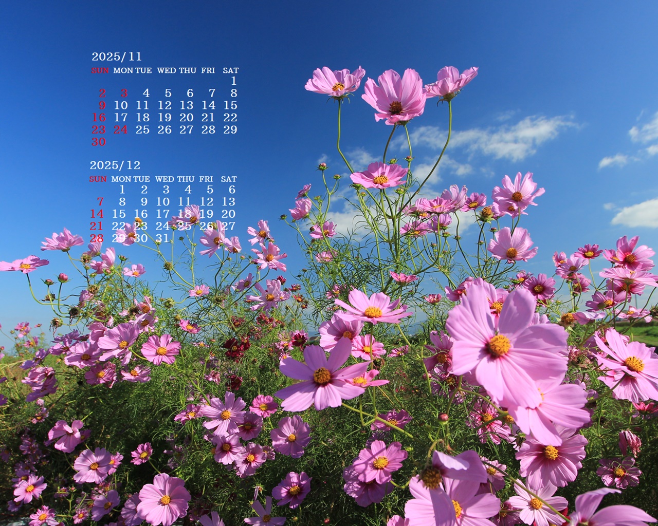 摜̏ŉENbNāuǎɐݒvAj[ɂȂꍇ͂摜ۑĉB