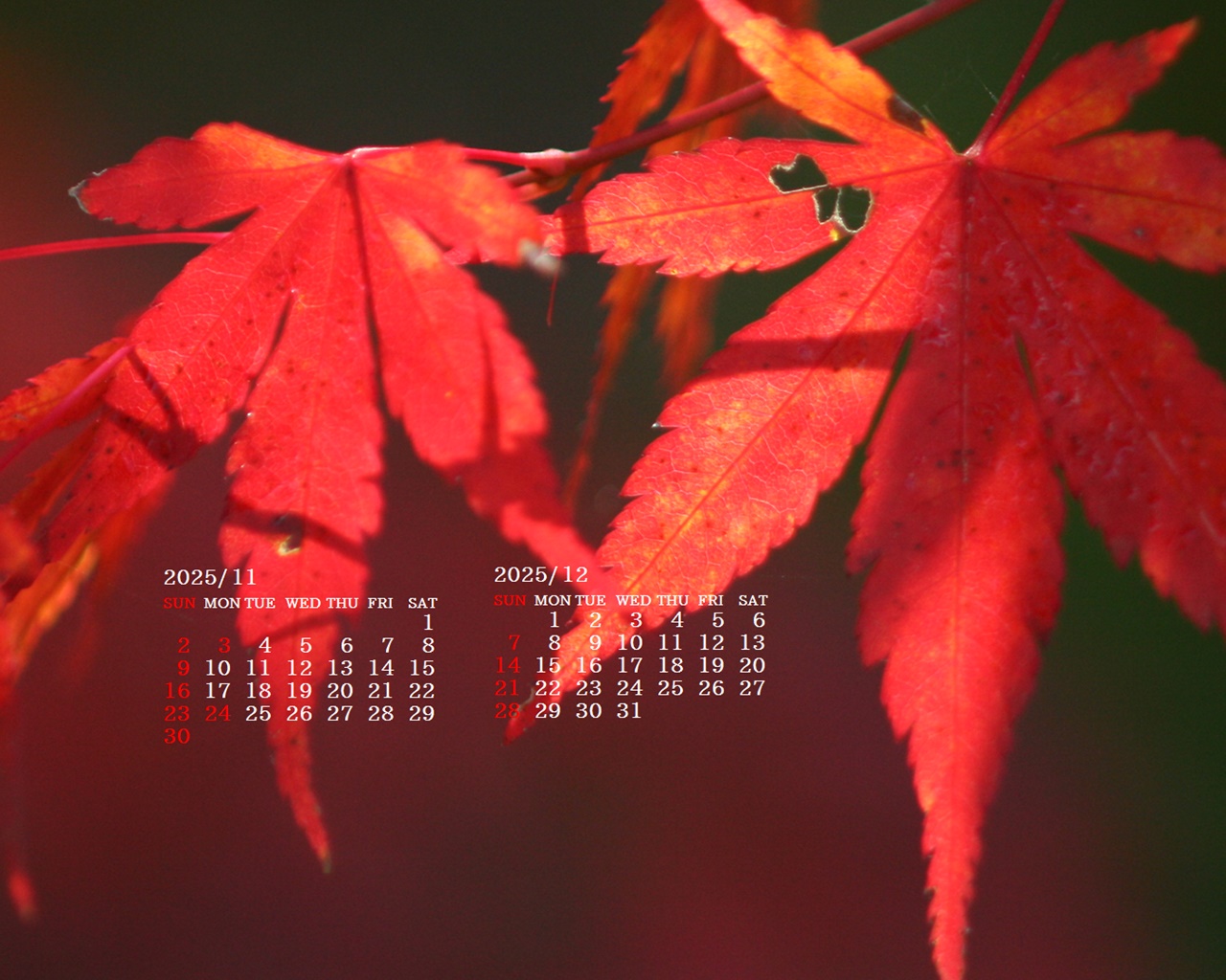 摜̏ŉENbNāuǎɐݒvAj[ɂȂꍇ͂摜ۑĉB