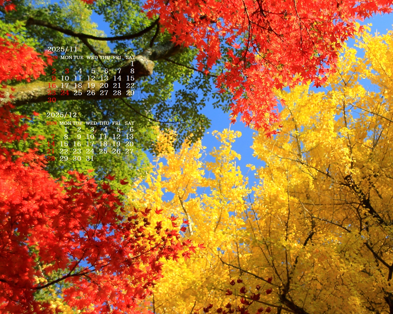 摜̏ŉENbNāuǎɐݒvAj[ɂȂꍇ͂摜ۑĉB