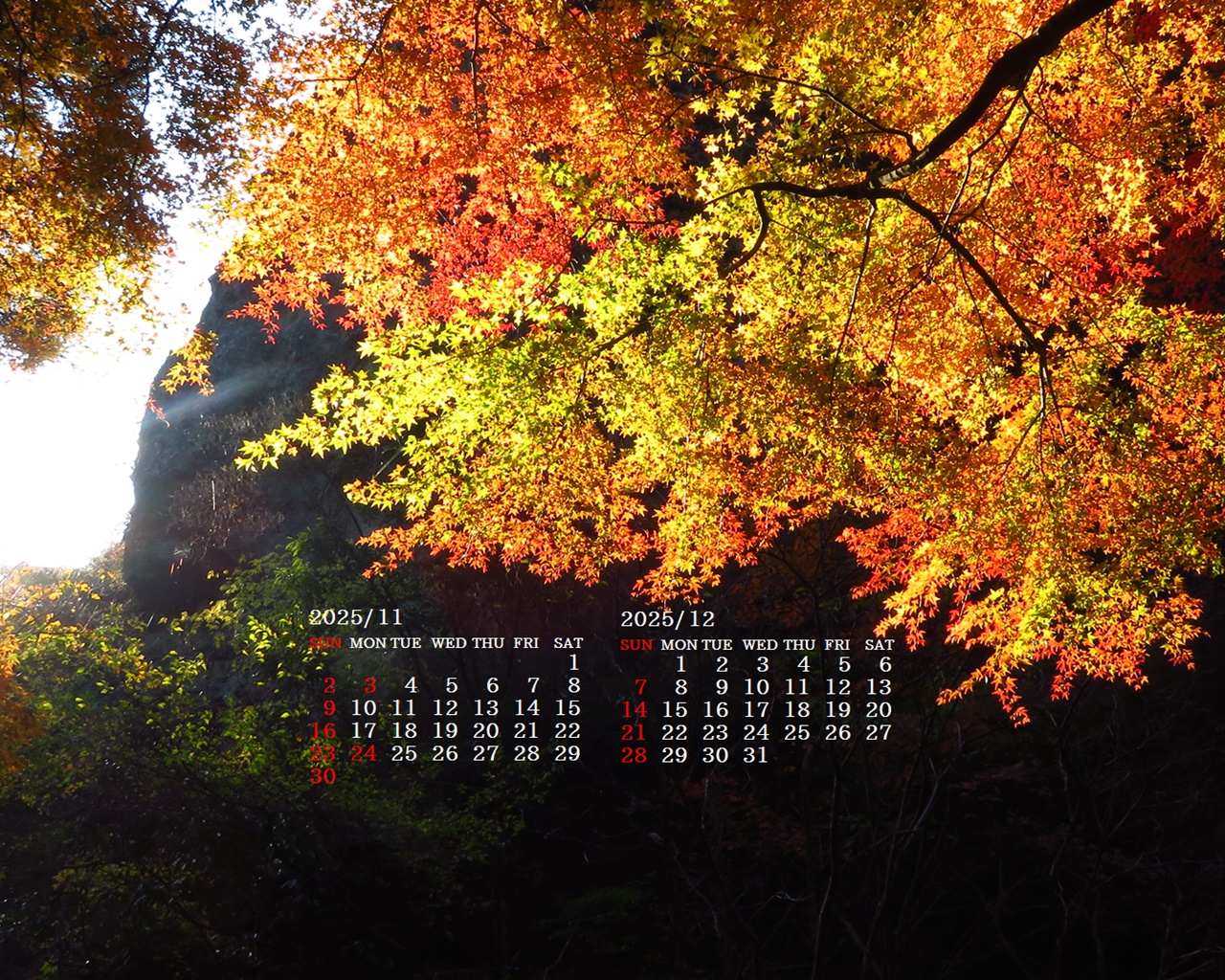 摜̏ŉENbNāuǎɐݒvAj[ɂȂꍇ͂摜ۑĉB