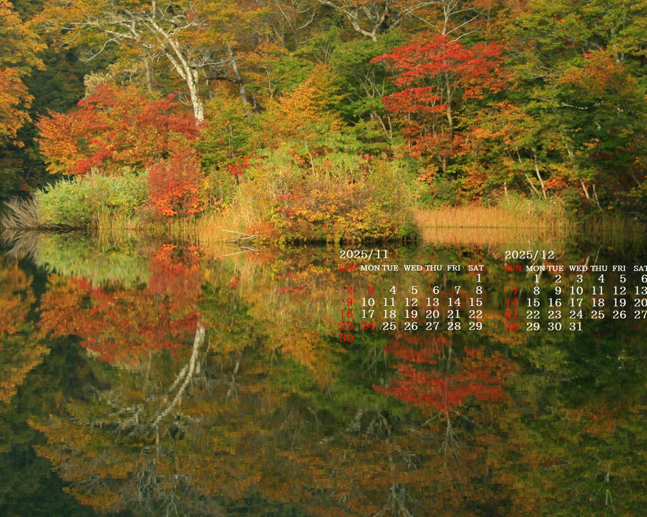 摜̏ŉENbNāuǎɐݒvAj[ɂȂꍇ͂摜ۑĉB