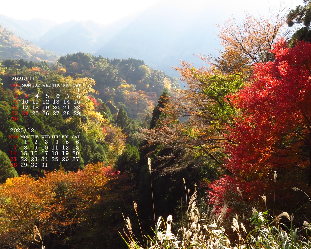 摜̏ŉENbNāuǎɐݒvAj[ɂȂꍇ͂摜ۑĉB