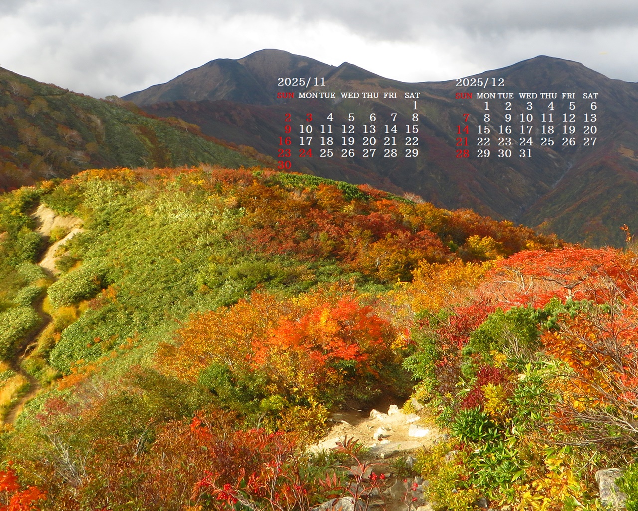 摜̏ŉENbNāuǎɐݒvAj[ɂȂꍇ͂摜ۑĉB