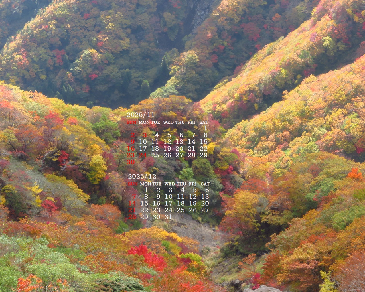 摜̏ŉENbNāuǎɐݒvAj[ɂȂꍇ͂摜ۑĉB