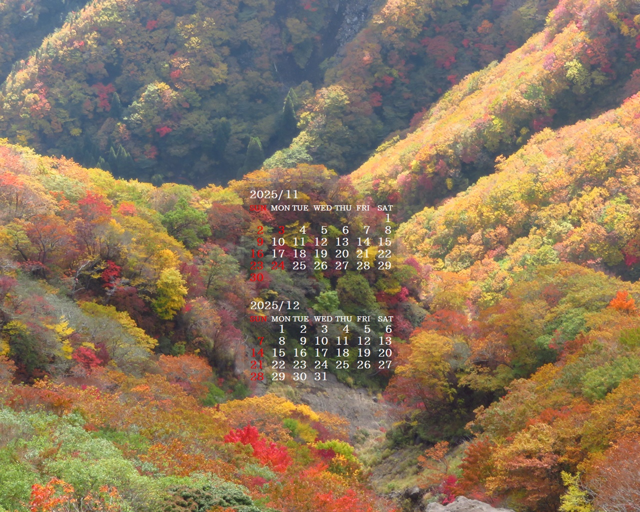 摜̏ŉENbNāuǎɐݒvAj[ɂȂꍇ͂摜ۑĉB