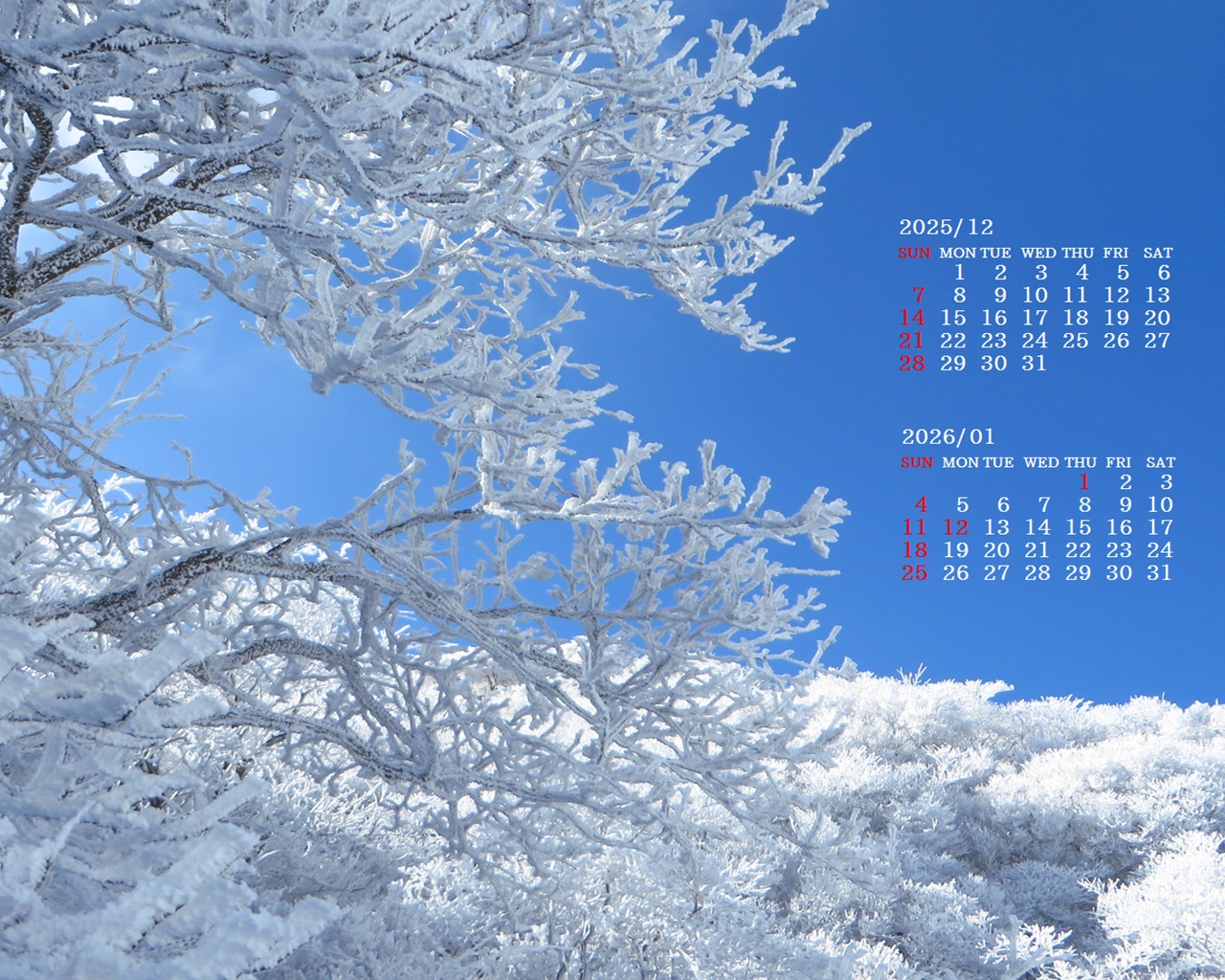 �摜�̏�ŉE�N���b�N���āu�ǎ��ɐݒ�v�A���j���[�ɂȂ��ꍇ�͂�������摜��ۑ����ĉ������B