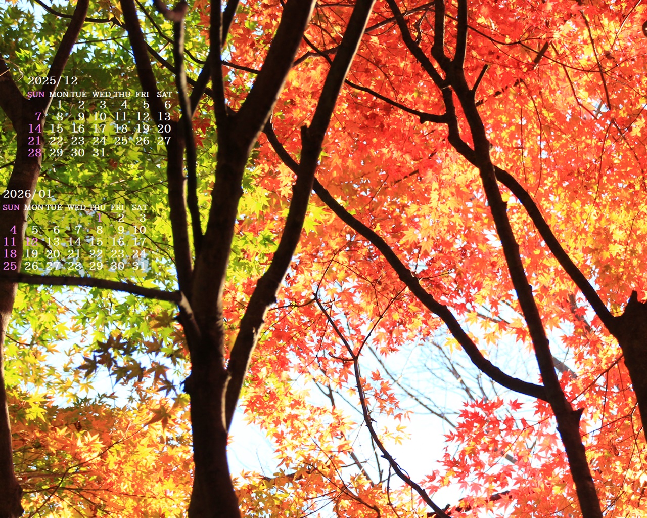 �摜�̏�ŉE�N���b�N���āu�ǎ��ɐݒ�v�A���j���[�ɂȂ��ꍇ�͂�������摜��ۑ����ĉ������B