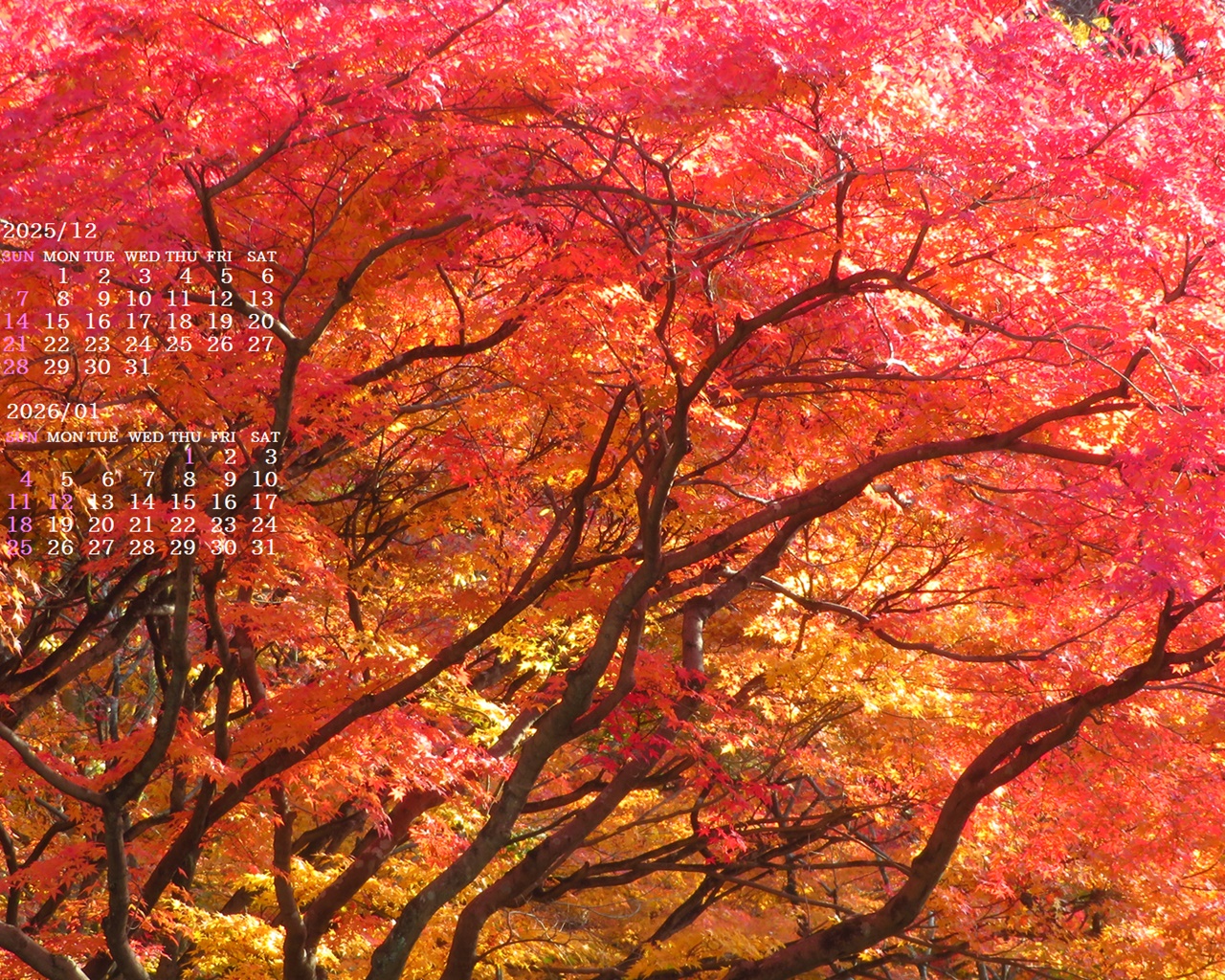 �摜�̏�ŉE�N���b�N���āu�ǎ��ɐݒ�v�A���j���[�ɂȂ��ꍇ�͂�������摜��ۑ����ĉ������B