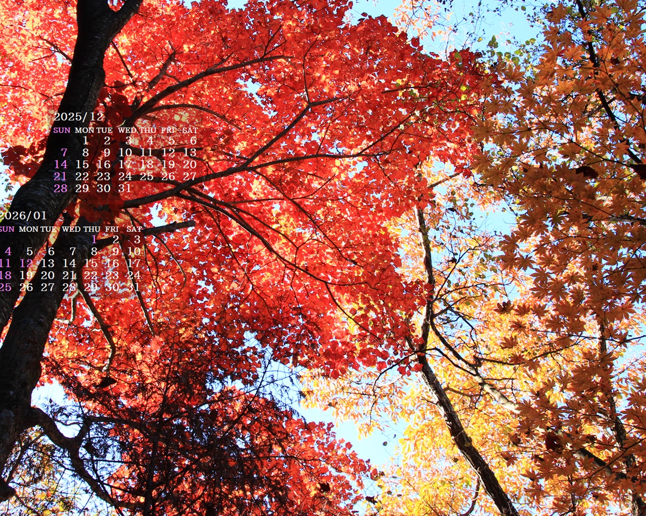 �摜�̏�ŉE�N���b�N���āu�ǎ��ɐݒ�v�A���j���[�ɂȂ��ꍇ�͂�������摜��ۑ����ĉ������B