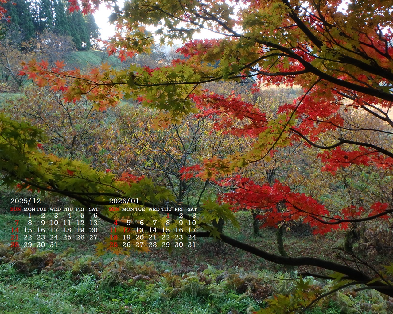 �摜�̏�ŉE�N���b�N���āu�ǎ��ɐݒ�v�A���j���[�ɂȂ��ꍇ�͂�������摜��ۑ����ĉ������B