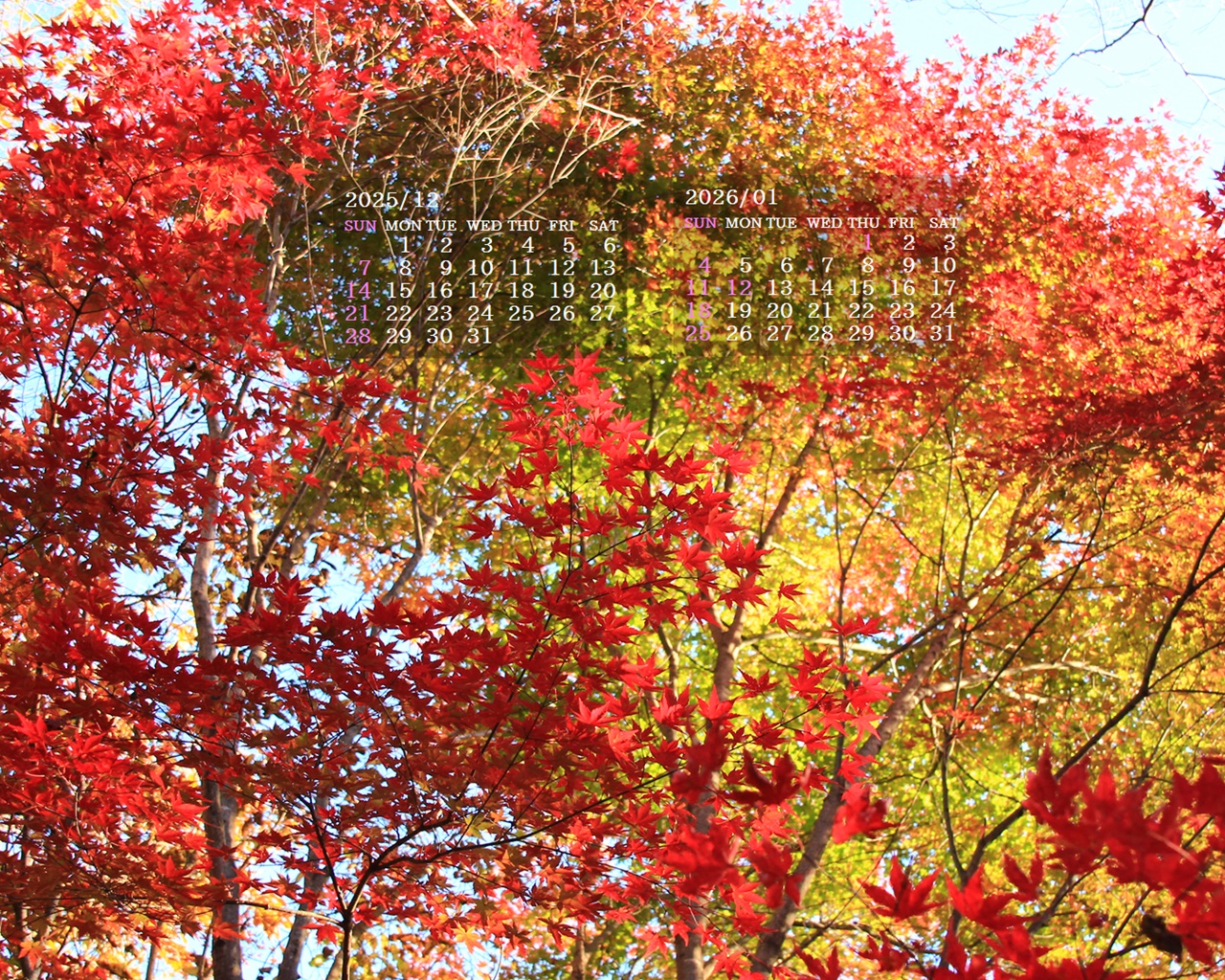 �摜�̏�ŉE�N���b�N���āu�ǎ��ɐݒ�v�A���j���[�ɂȂ��ꍇ�͂�������摜��ۑ����ĉ������B