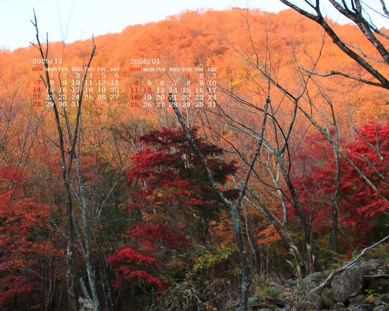 �摜�̏�ŉE�N���b�N���āu�ǎ��ɐݒ�v�A���j���[�ɂȂ��ꍇ�͂�������摜��ۑ����ĉ������B