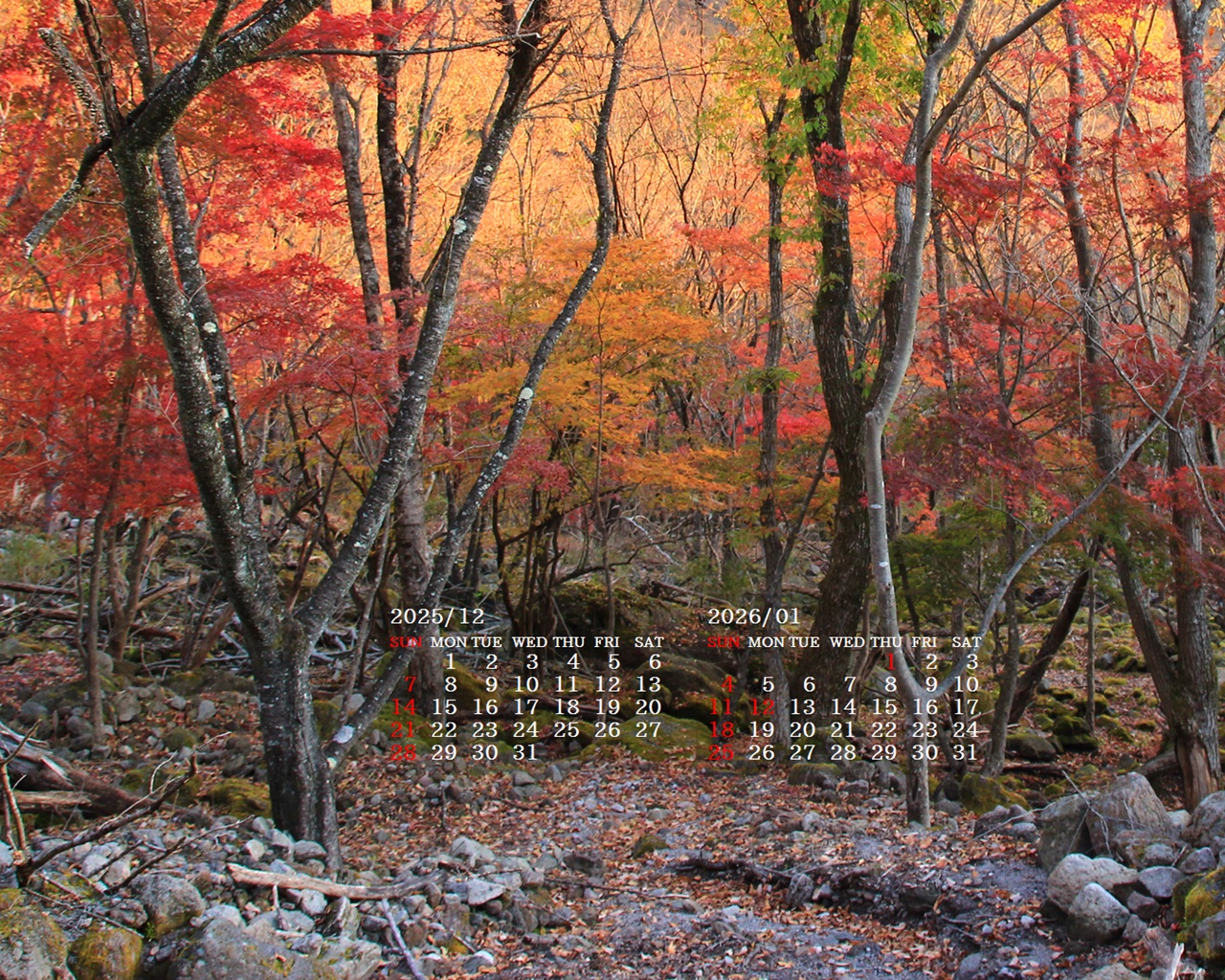 �摜�̏�ŉE�N���b�N���āu�ǎ��ɐݒ�v�A���j���[�ɂȂ��ꍇ�͂�������摜��ۑ����ĉ������B