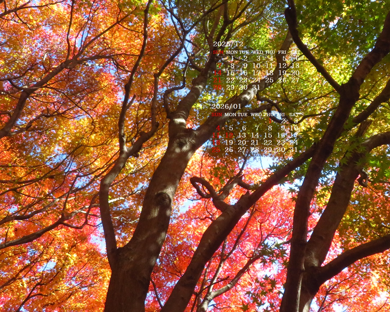 �摜�̏�ŉE�N���b�N���āu�ǎ��ɐݒ�v�A���j���[�ɂȂ��ꍇ�͂�������摜��ۑ����ĉ������B