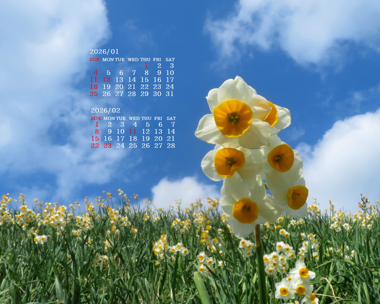 �摜�̏�ŉE�N���b�N���āu�ǎ��ɐݒ�v�A���j���[�ɂȂ��ꍇ�͂�������摜��ۑ����ĉ������B