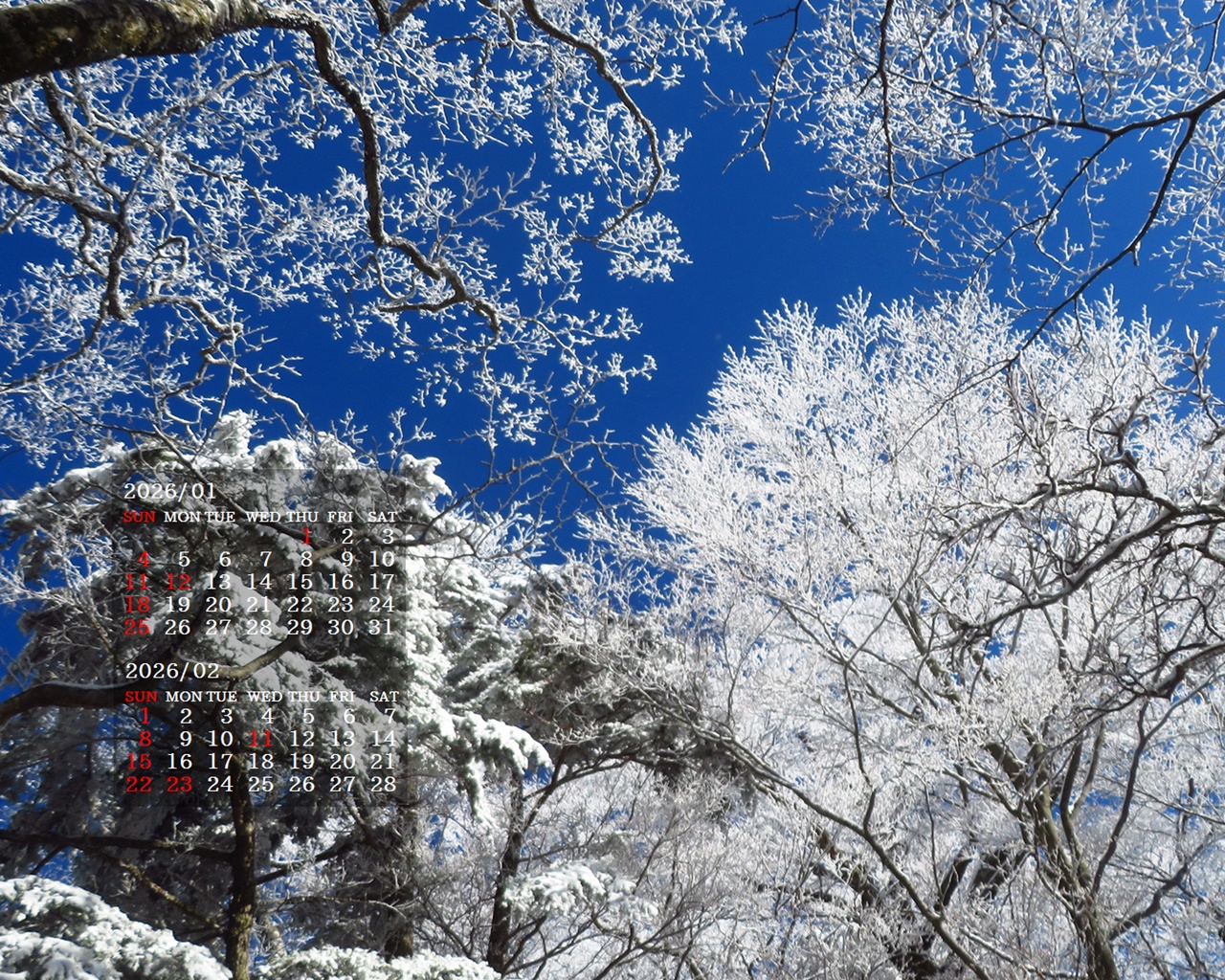 �摜�̏�ŉE�N���b�N���āu�ǎ��ɐݒ�v�A���j���[�ɂȂ��ꍇ�͂�������摜��ۑ����ĉ������B