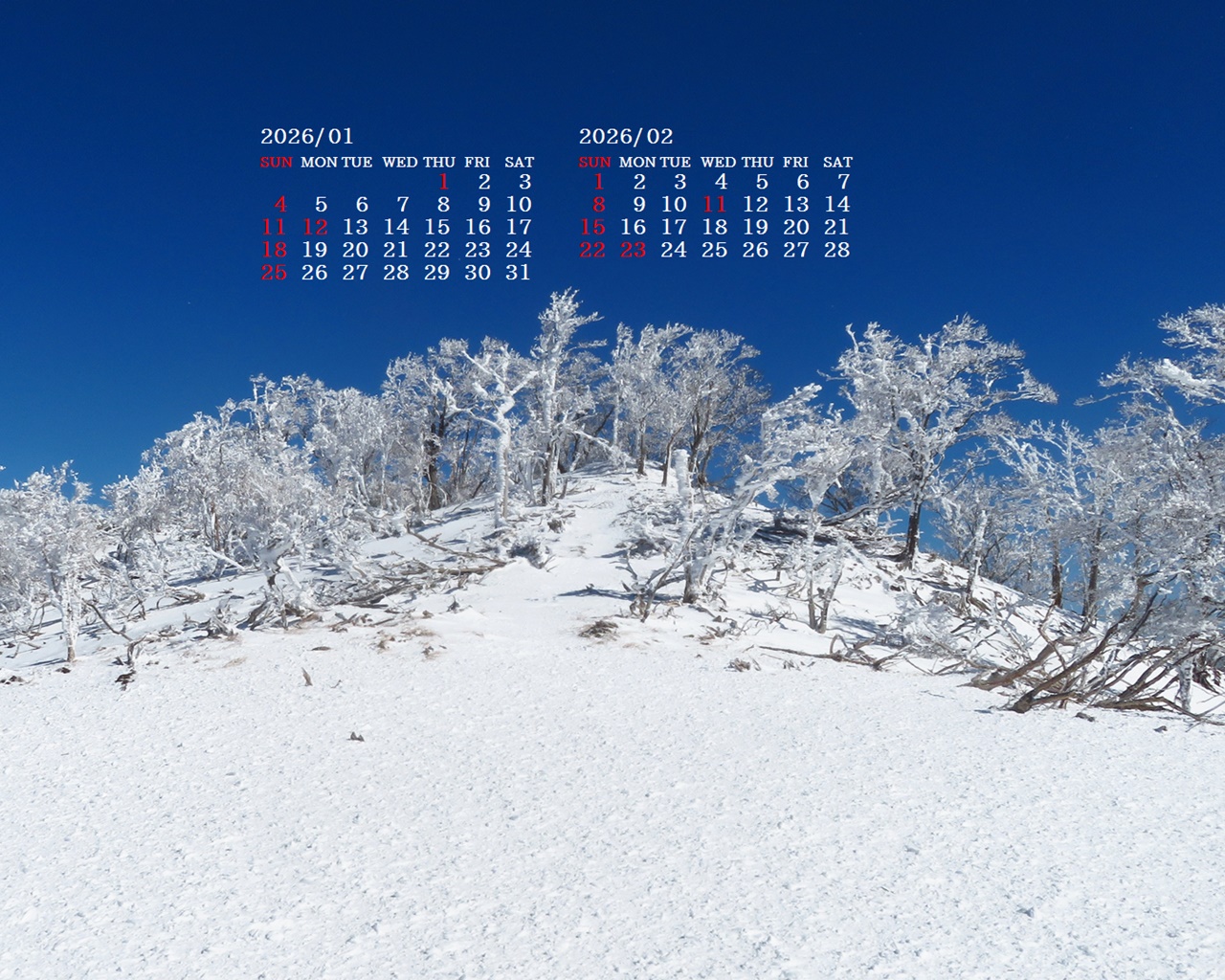 �摜�̏�ŉE�N���b�N���āu�ǎ��ɐݒ�v�A���j���[�ɂȂ��ꍇ�͂�������摜��ۑ����ĉ������B