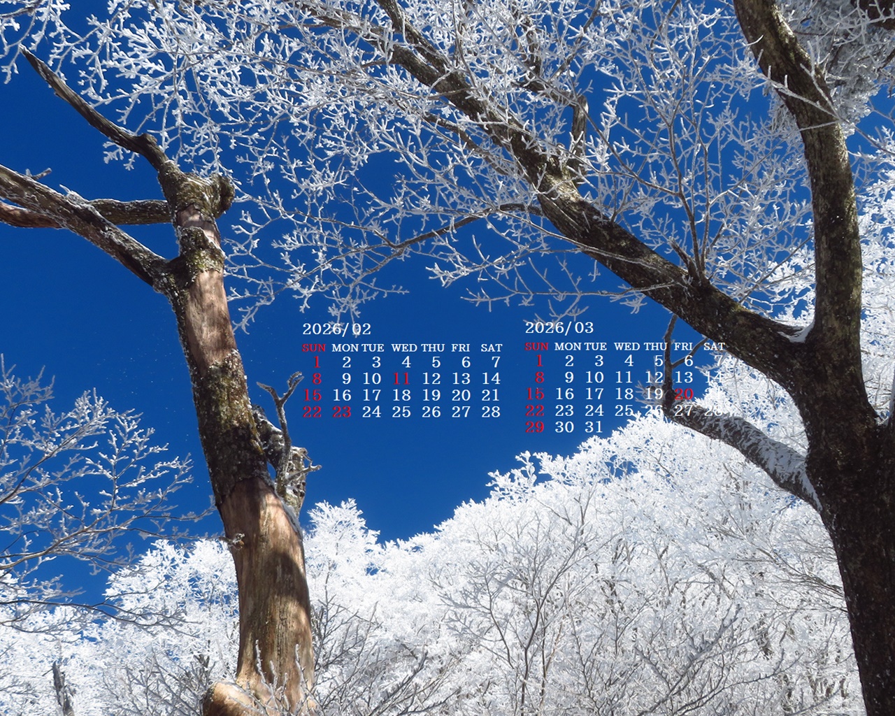 �摜�̏�ŉE�N���b�N���āu�ǎ��ɐݒ�v�A���j���[�ɂȂ��ꍇ�͂�������摜��ۑ����ĉ������B