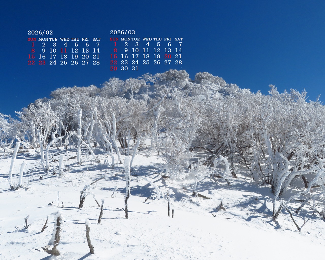 �摜�̏�ŉE�N���b�N���āu�ǎ��ɐݒ�v�A���j���[�ɂȂ��ꍇ�͂�������摜��ۑ����ĉ������B