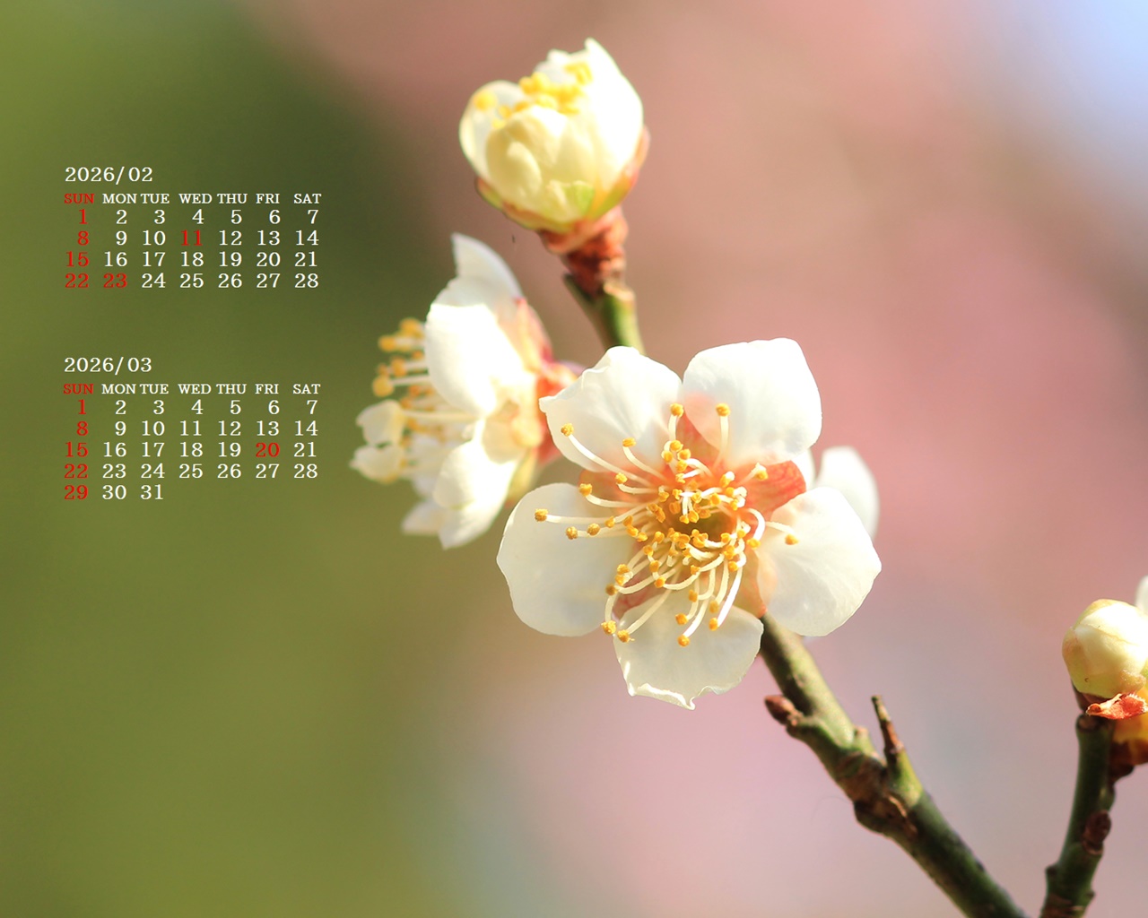 �摜�̏�ŉE�N���b�N���āu�ǎ��ɐݒ�v�A���j���[�ɂȂ��ꍇ�͂�������摜��ۑ����ĉ������B