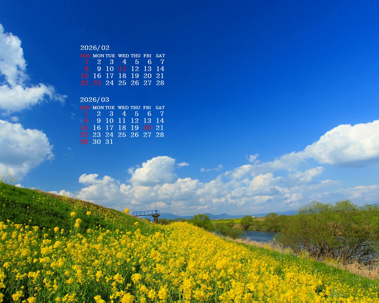 �摜�̏�ŉE�N���b�N���āu�ǎ��ɐݒ�v�A���j���[�ɂȂ��ꍇ�͂�������摜��ۑ����ĉ������B