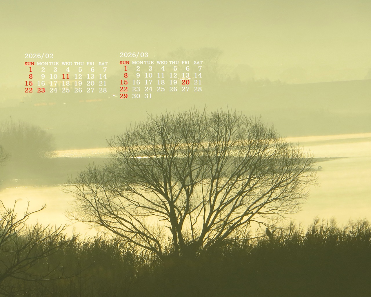 �摜�̏�ŉE�N���b�N���āu�ǎ��ɐݒ�v�A���j���[�ɂȂ��ꍇ�͂�������摜��ۑ����ĉ������B