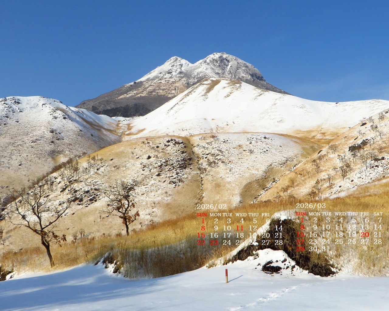 �摜�̏�ŉE�N���b�N���āu�ǎ��ɐݒ�v�A���j���[�ɂȂ��ꍇ�͂�������摜��ۑ����ĉ������B