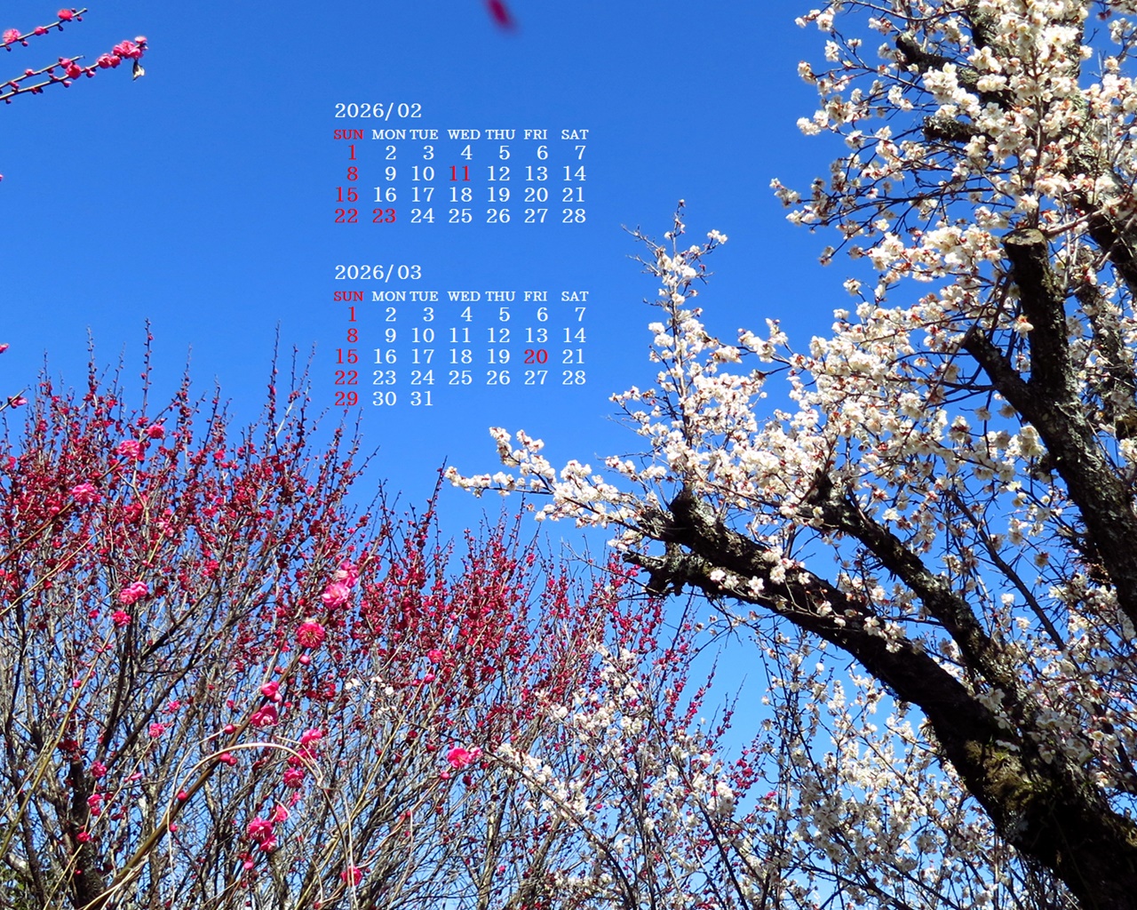 �摜�̏�ŉE�N���b�N���āu�ǎ��ɐݒ�v�A���j���[�ɂȂ��ꍇ�͂�������摜��ۑ����ĉ������B