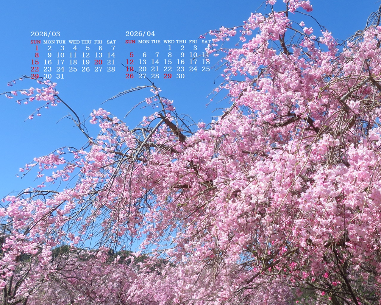 �摜�̏�ŉE�N���b�N���āu�ǎ��ɐݒ�v�A���j���[�ɂȂ��ꍇ�͂�������摜��ۑ����ĉ������B