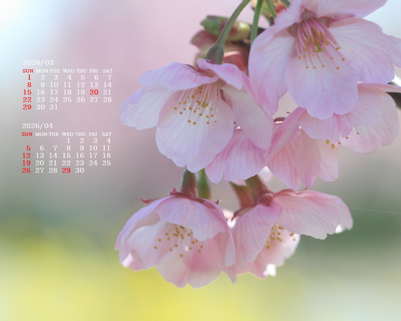 �摜�̏�ŉE�N���b�N���āu�ǎ��ɐݒ�v�A���j���[�ɂȂ��ꍇ�͂�������摜��ۑ����ĉ������B