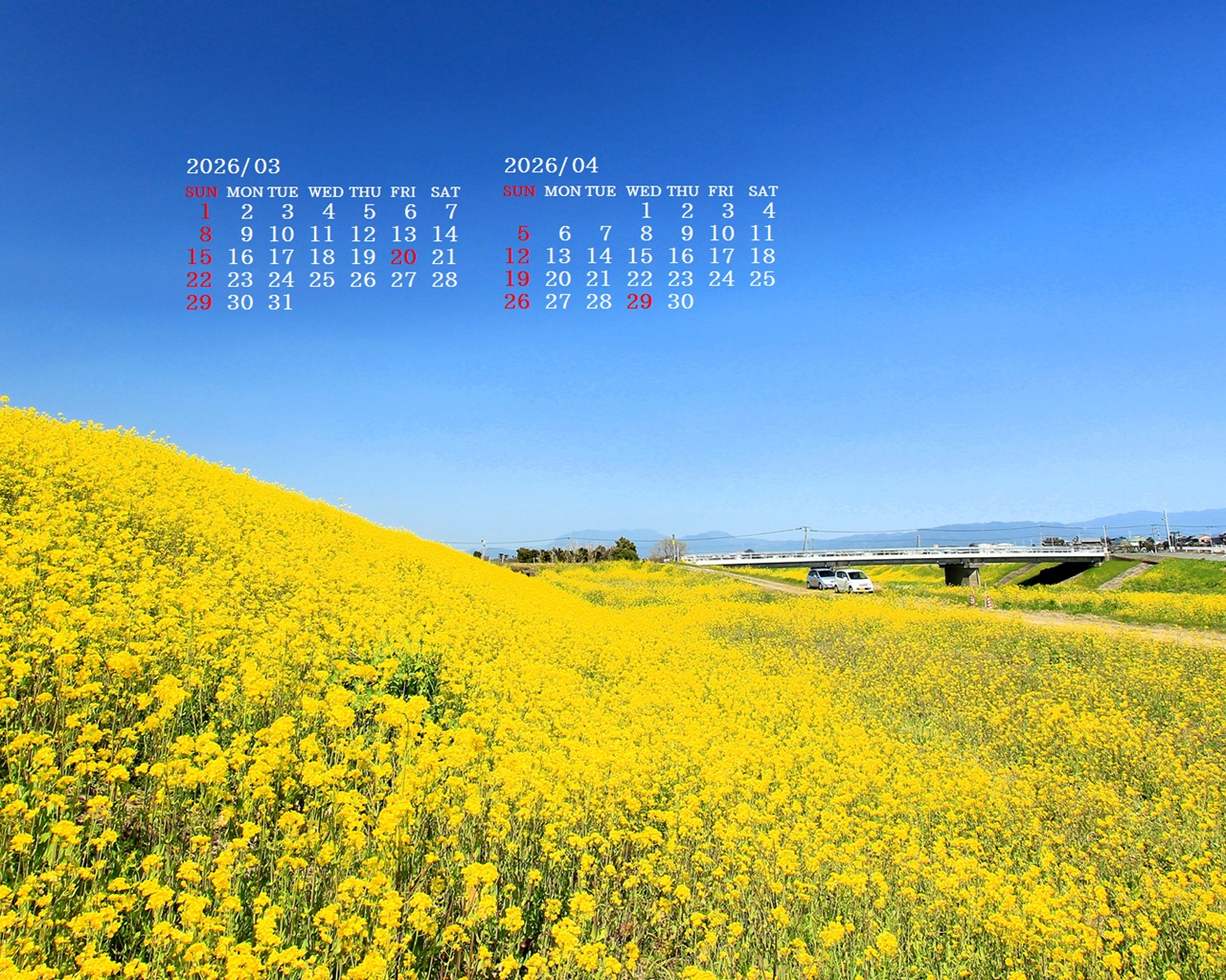 �摜�̏�ŉE�N���b�N���āu�ǎ��ɐݒ�v�A���j���[�ɂȂ��ꍇ�͂�������摜��ۑ����ĉ������B