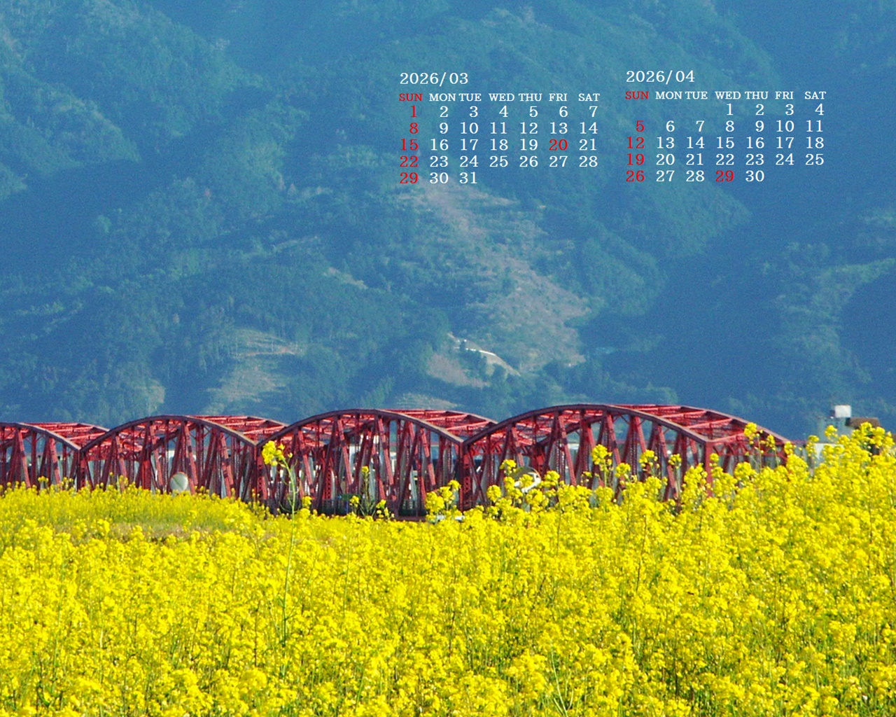 �摜�̏�ŉE�N���b�N���āu�ǎ��ɐݒ�v�A���j���[�ɂȂ��ꍇ�͂�������摜��ۑ����ĉ������B