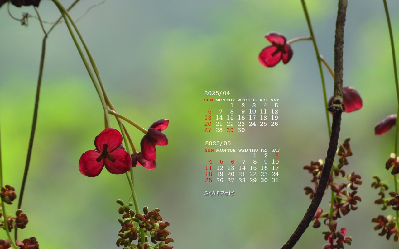 摜̏ŉENbNāuǎɐݒvAj[ɂȂꍇ͂摜ۑĉB