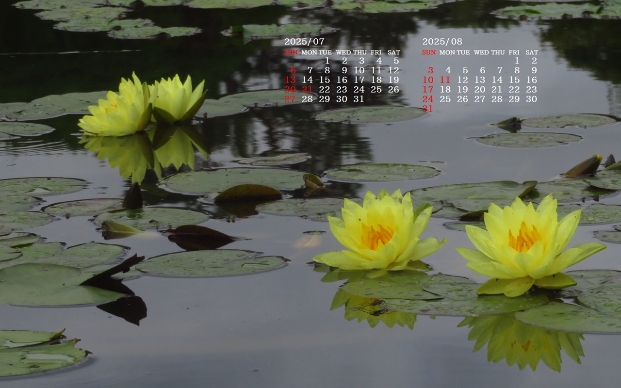摜̏ŉENbNāuǎɐݒvAj[ɂȂꍇ͂摜ۑĉB