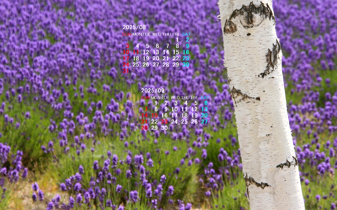 摜̏ŉENbNāuǎɐݒvAj[ɂȂꍇ͂摜ۑĉB