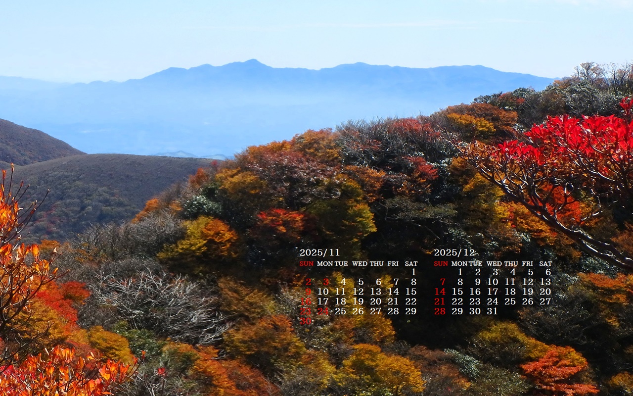 摜̏ŉENbNāuǎɐݒvAj[ɂȂꍇ͂摜ۑĉB