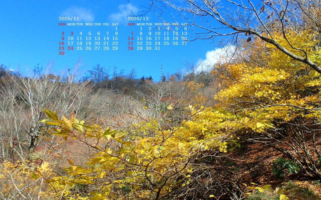 摜̏ŉENbNāuǎɐݒvAj[ɂȂꍇ͂摜ۑĉB