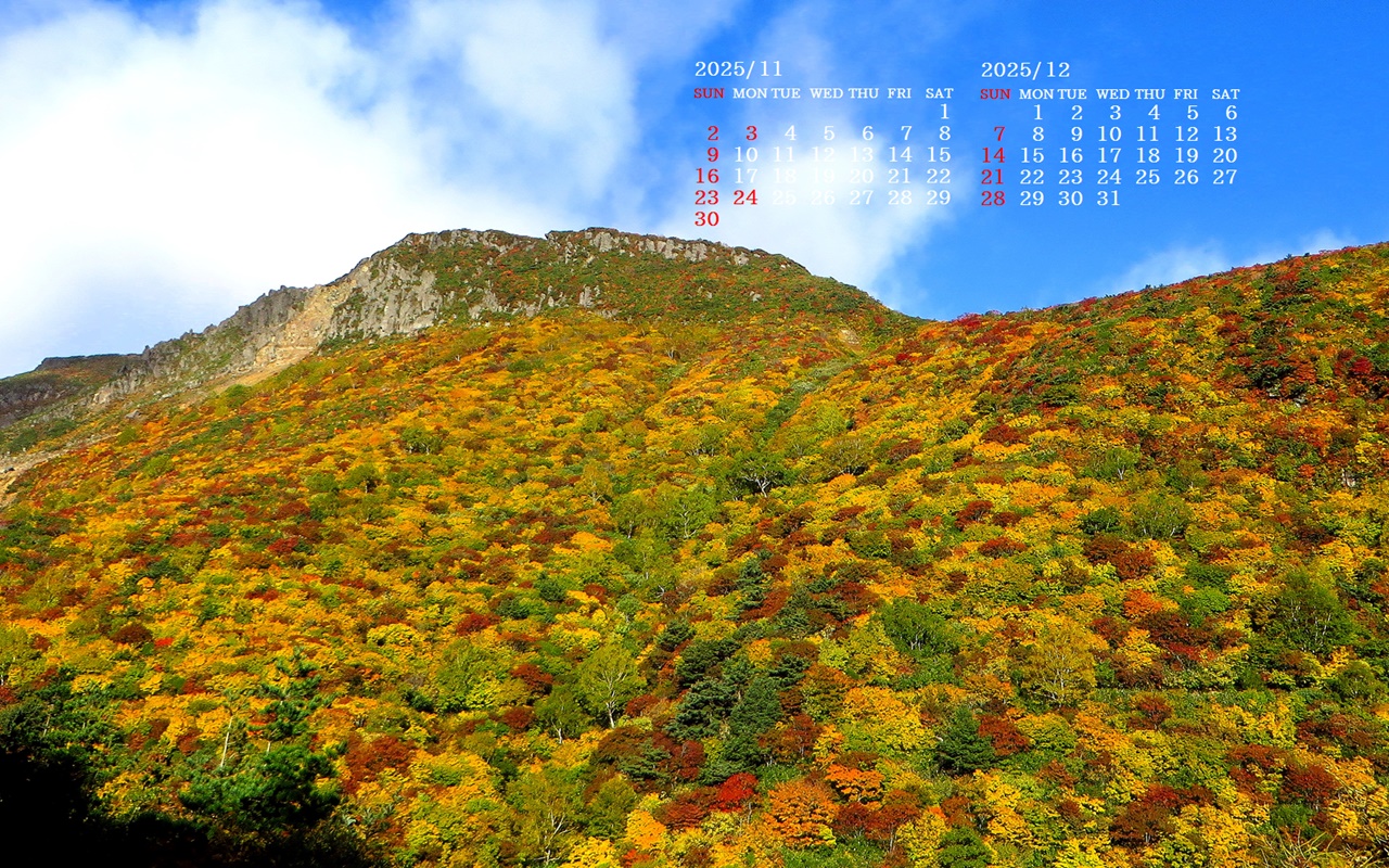 摜̏ŉENbNāuǎɐݒvAj[ɂȂꍇ͂摜ۑĉB