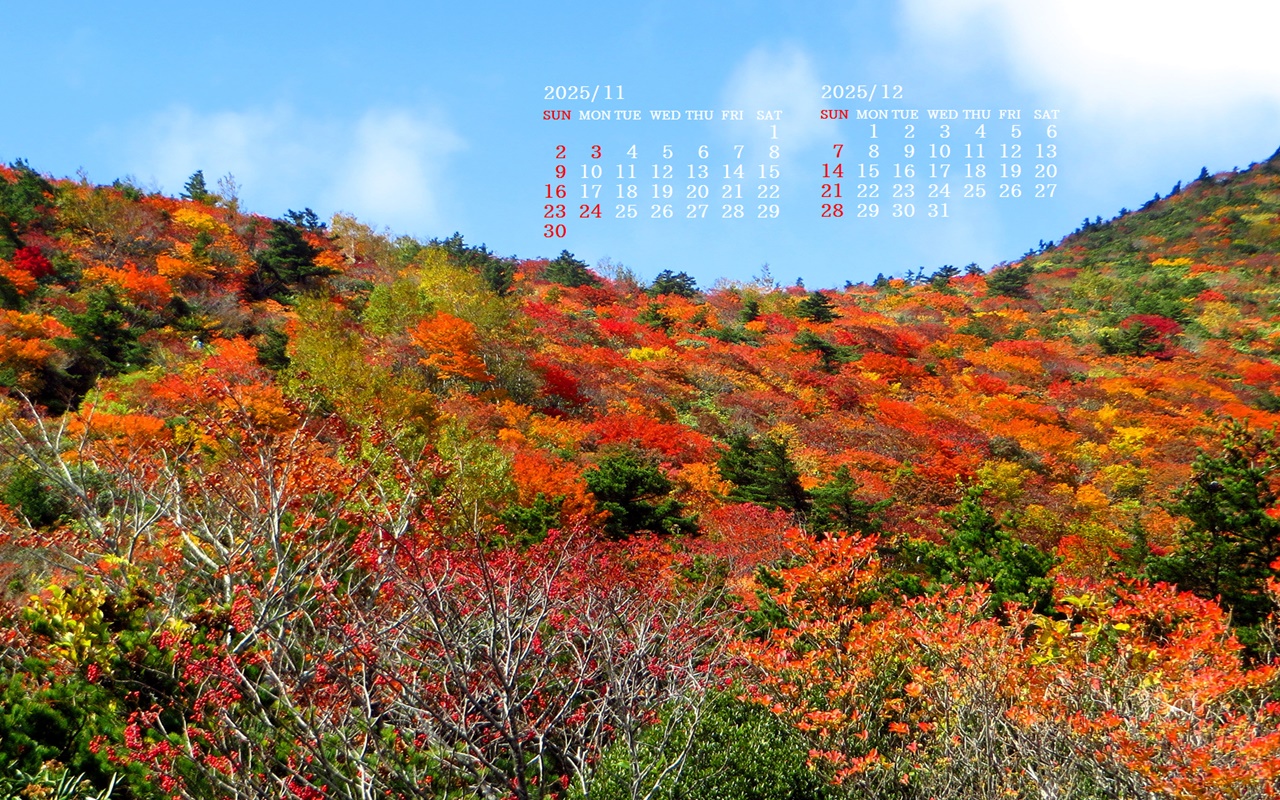 摜̏ŉENbNāuǎɐݒvAj[ɂȂꍇ͂摜ۑĉB