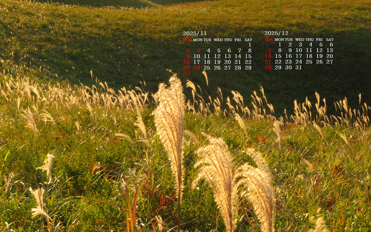 摜̏ŉENbNāuǎɐݒvAj[ɂȂꍇ͂摜ۑĉB