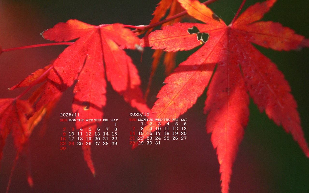 摜̏ŉENbNāuǎɐݒvAj[ɂȂꍇ͂摜ۑĉB