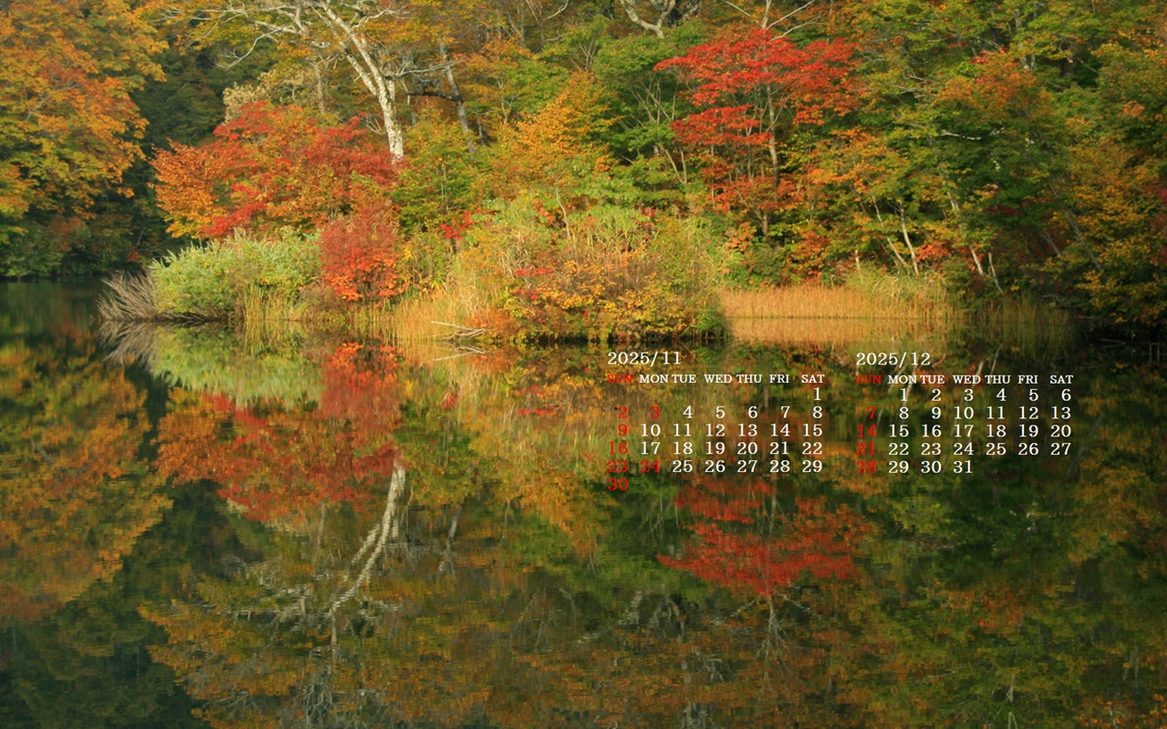 摜̏ŉENbNāuǎɐݒvAj[ɂȂꍇ͂摜ۑĉB