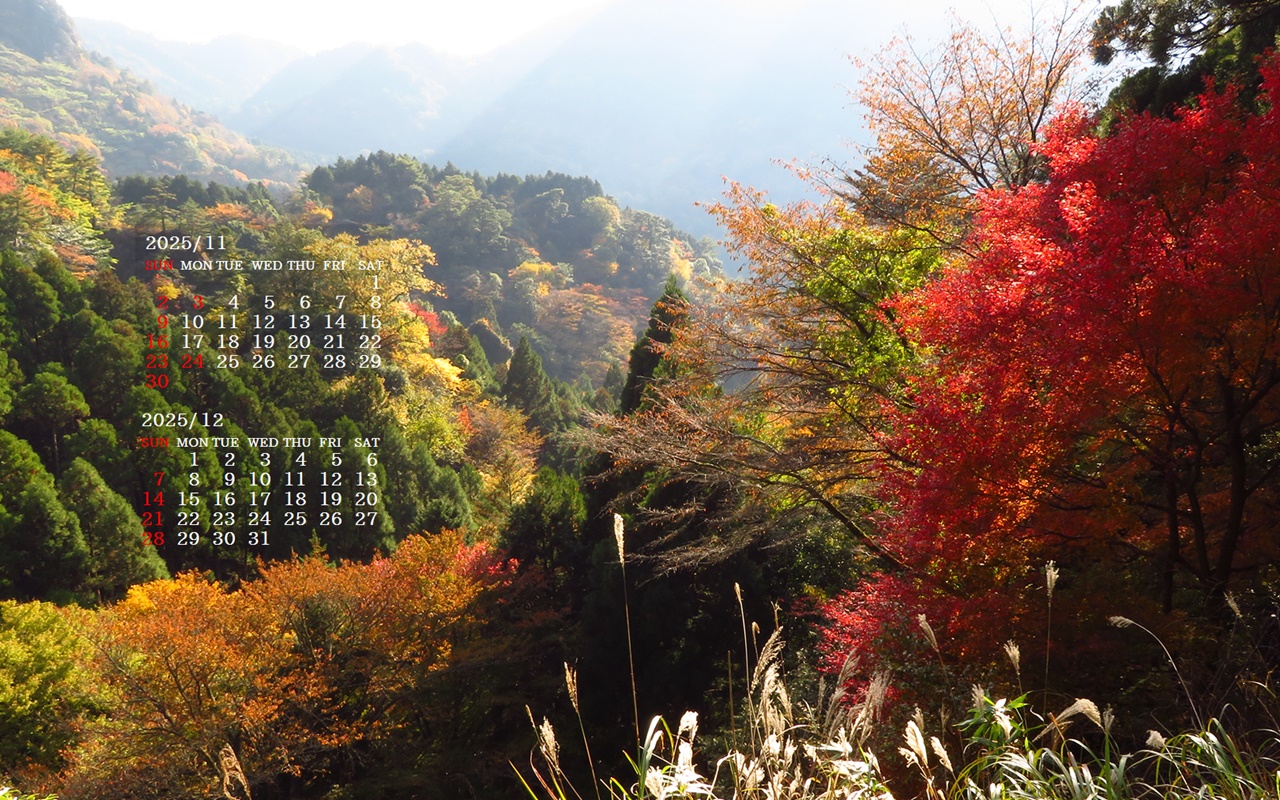 摜̏ŉENbNāuǎɐݒvAj[ɂȂꍇ͂摜ۑĉB