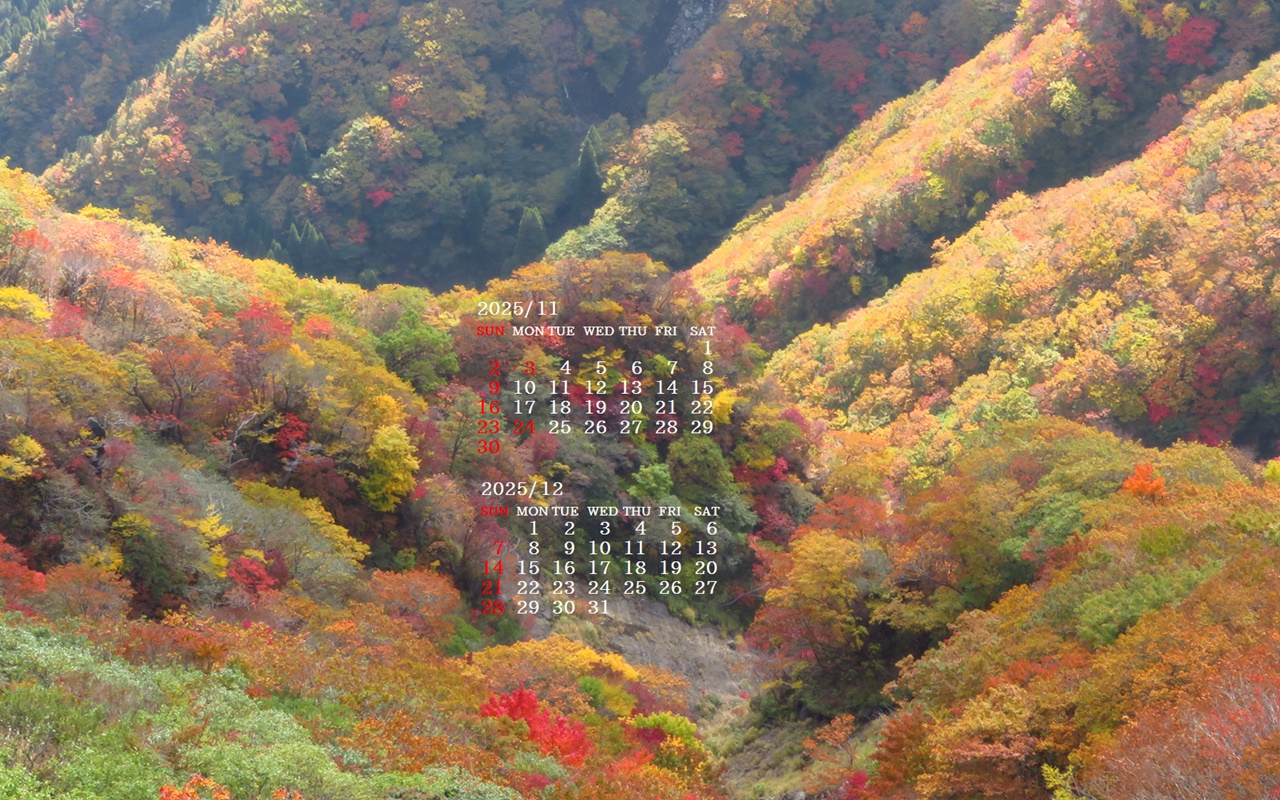 摜̏ŉENbNāuǎɐݒvAj[ɂȂꍇ͂摜ۑĉB