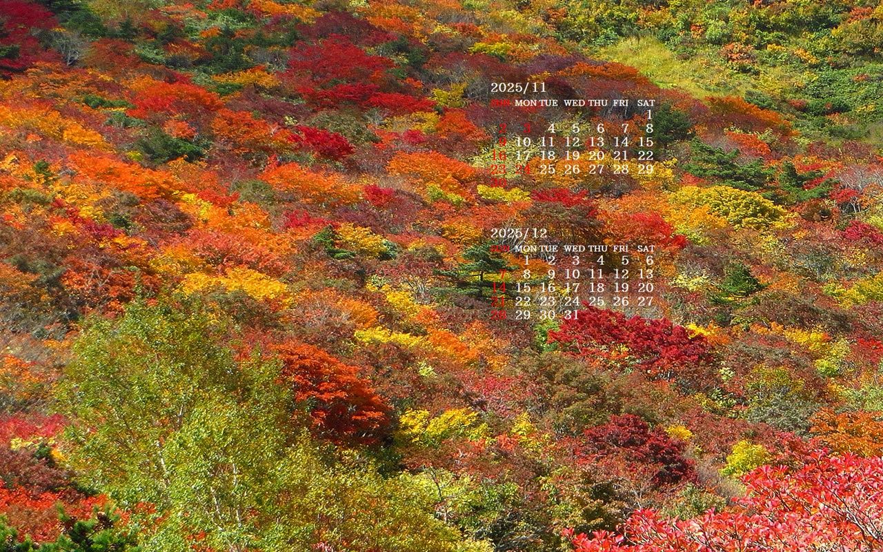 摜̏ŉENbNāuǎɐݒvAj[ɂȂꍇ͂摜ۑĉB