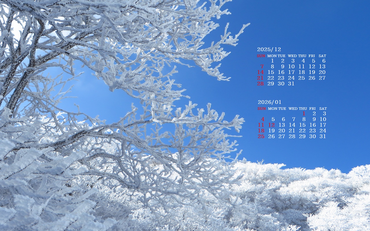 �摜�̏�ŉE�N���b�N���āu�ǎ��ɐݒ�v�A���j���[�ɂȂ��ꍇ�͂�������摜��ۑ����ĉ������B