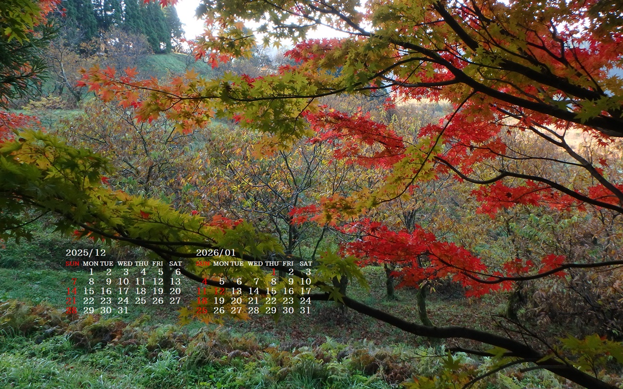 �摜�̏�ŉE�N���b�N���āu�ǎ��ɐݒ�v�A���j���[�ɂȂ��ꍇ�͂�������摜��ۑ����ĉ������B