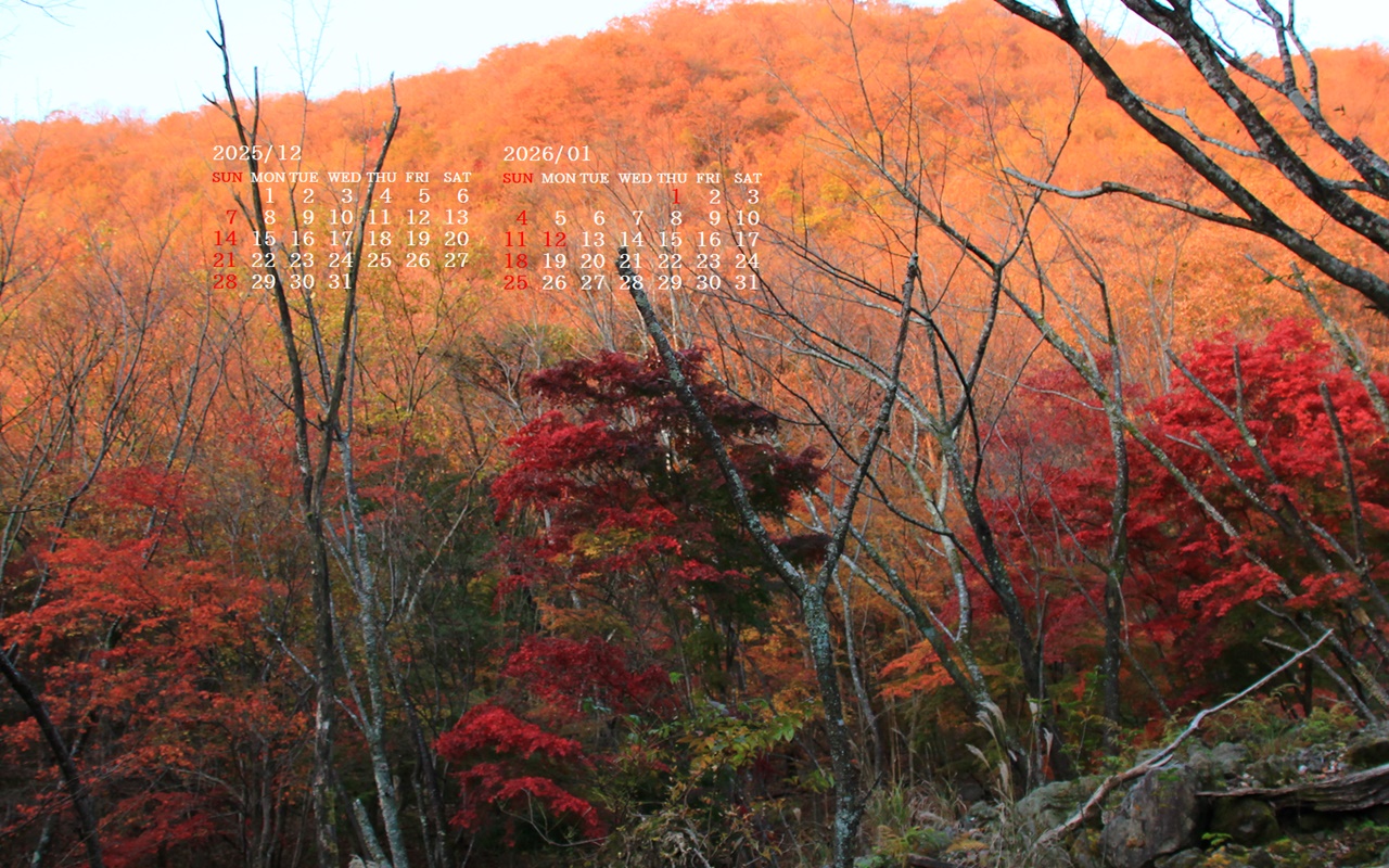 �摜�̏�ŉE�N���b�N���āu�ǎ��ɐݒ�v�A���j���[�ɂȂ��ꍇ�͂�������摜��ۑ����ĉ������B