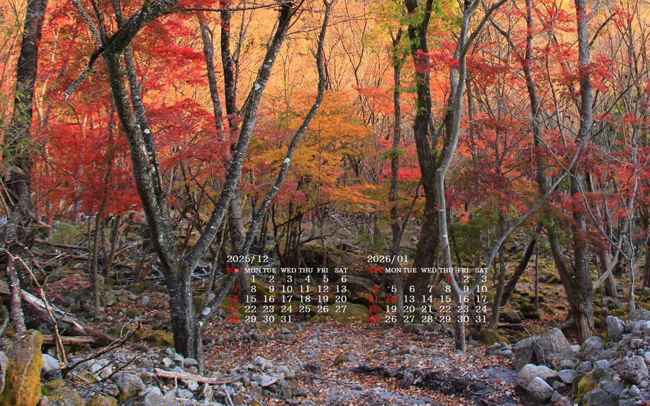 �摜�̏�ŉE�N���b�N���āu�ǎ��ɐݒ�v�A���j���[�ɂȂ��ꍇ�͂�������摜��ۑ����ĉ������B